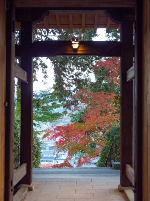 写真：大興善寺