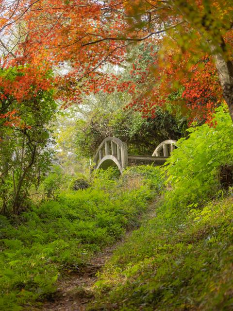 写真：綾部八幡神社