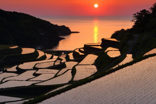 画像:浜野浦の棚田の写真