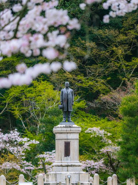 写真：西渓公園(桜)