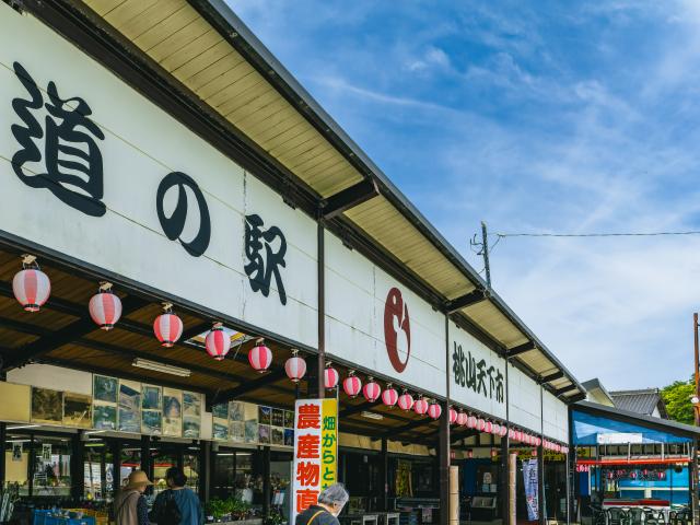 写真：道の駅「桃山天下市」