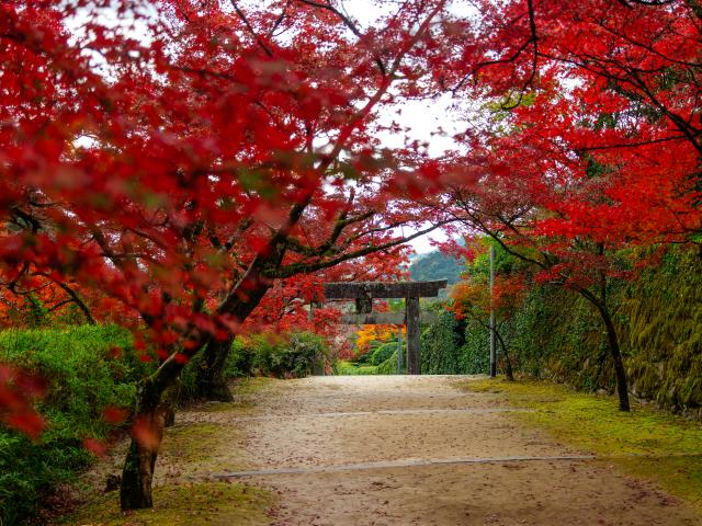 写真：仁比山神社