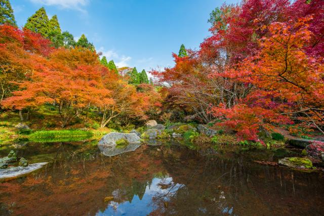 画像:環境芸術の森の写真