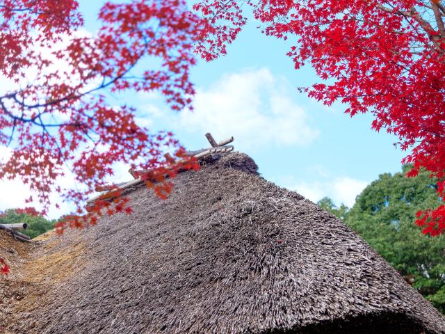 写真：九年庵