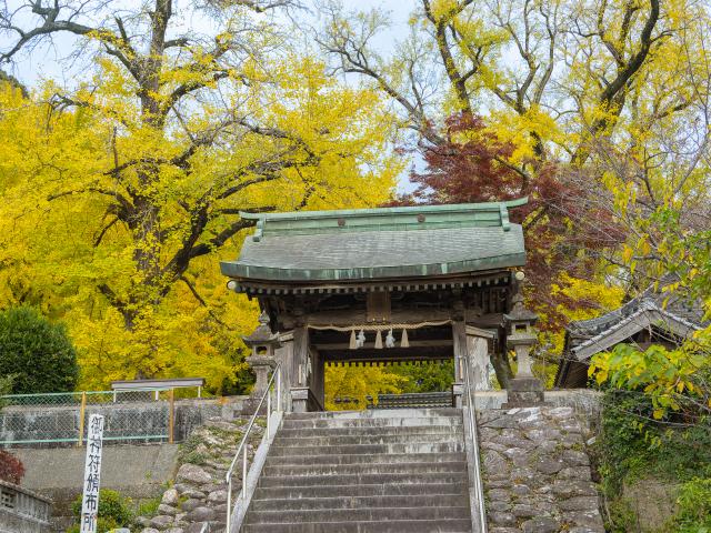 写真：綾部八幡神社