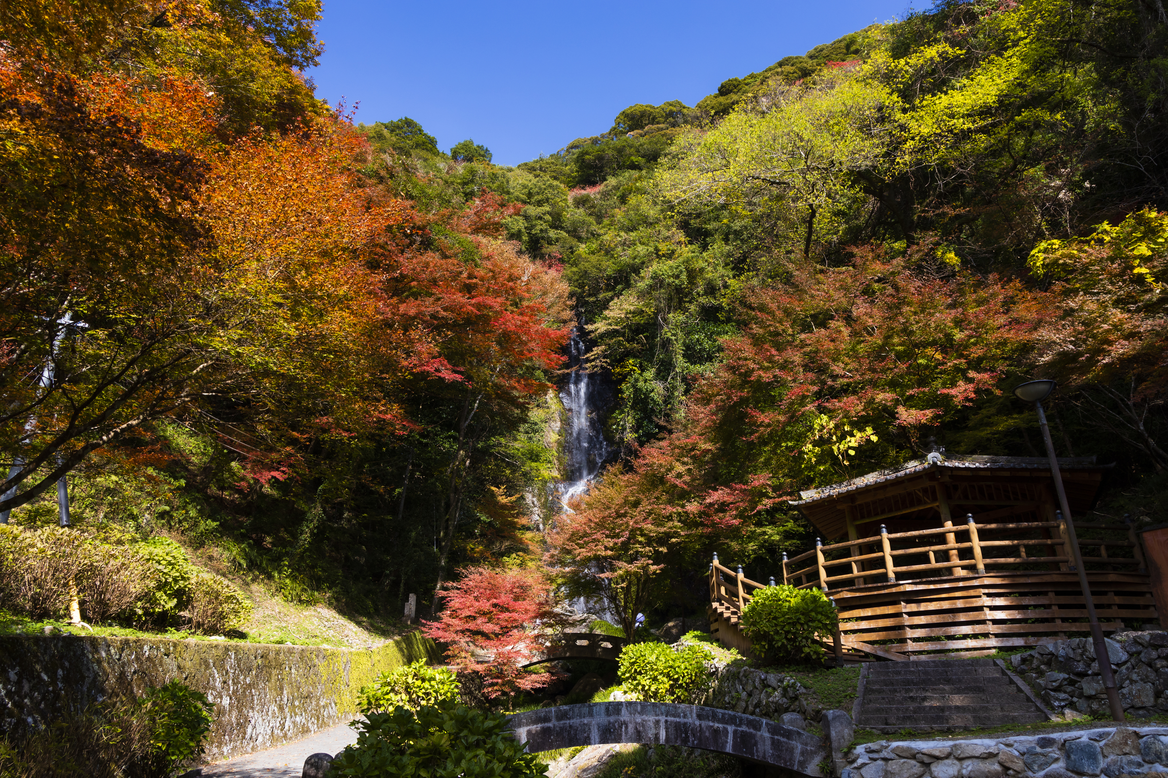 画像:清水の滝の写真