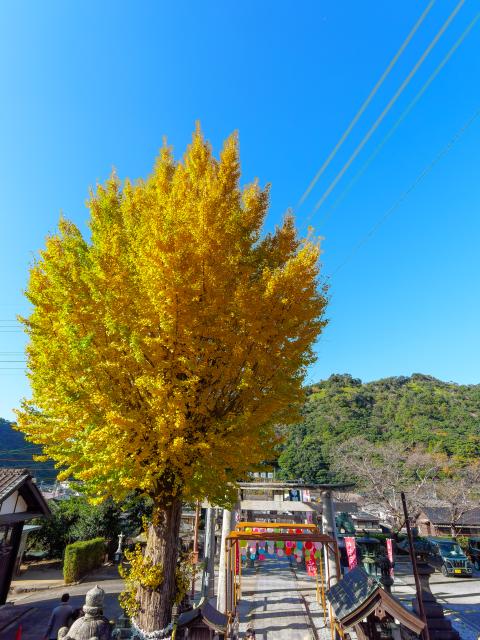 写真：陶山神社