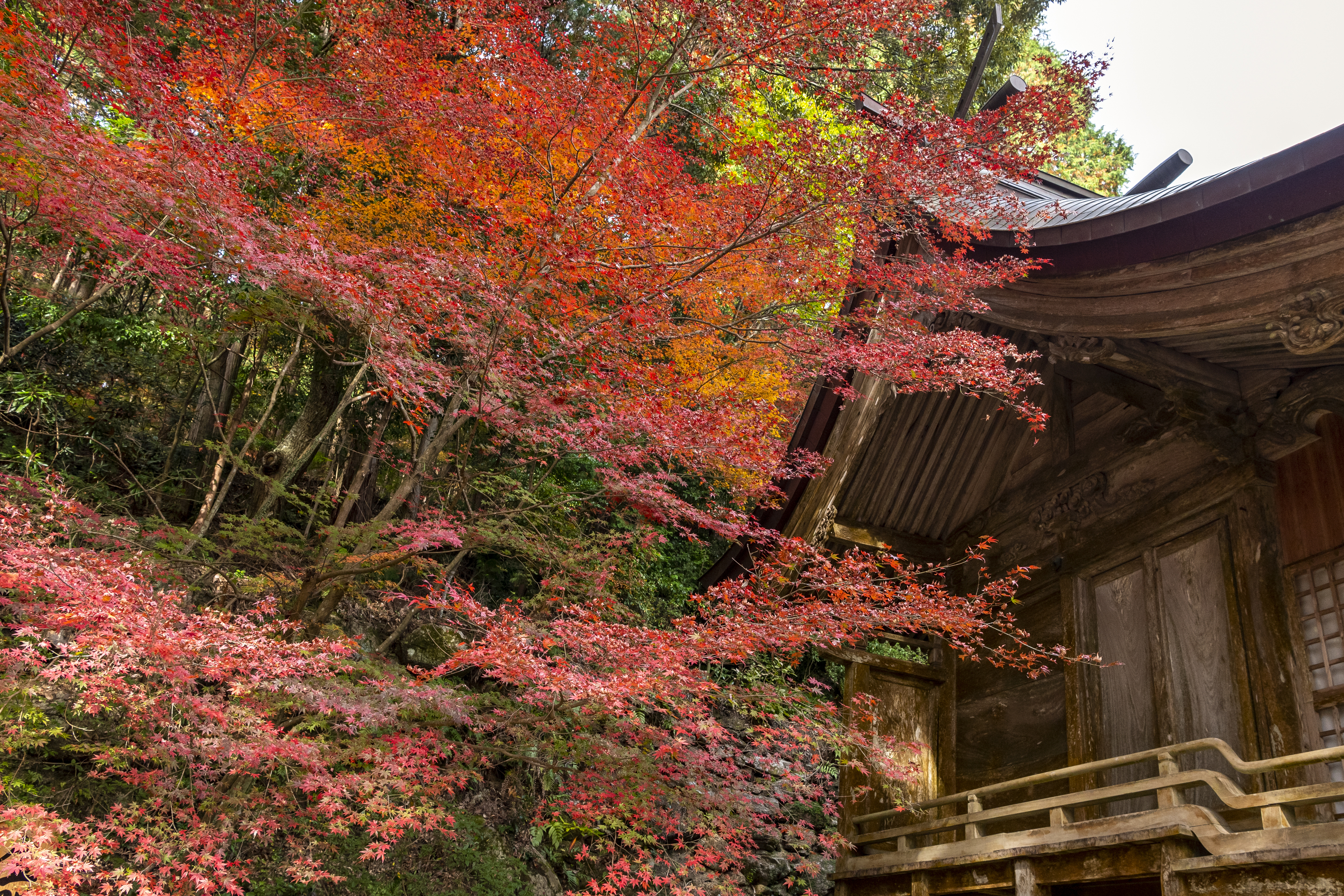 画像:仁比山神社の写真