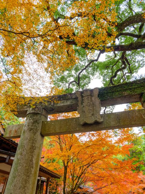 写真：仁比山神社