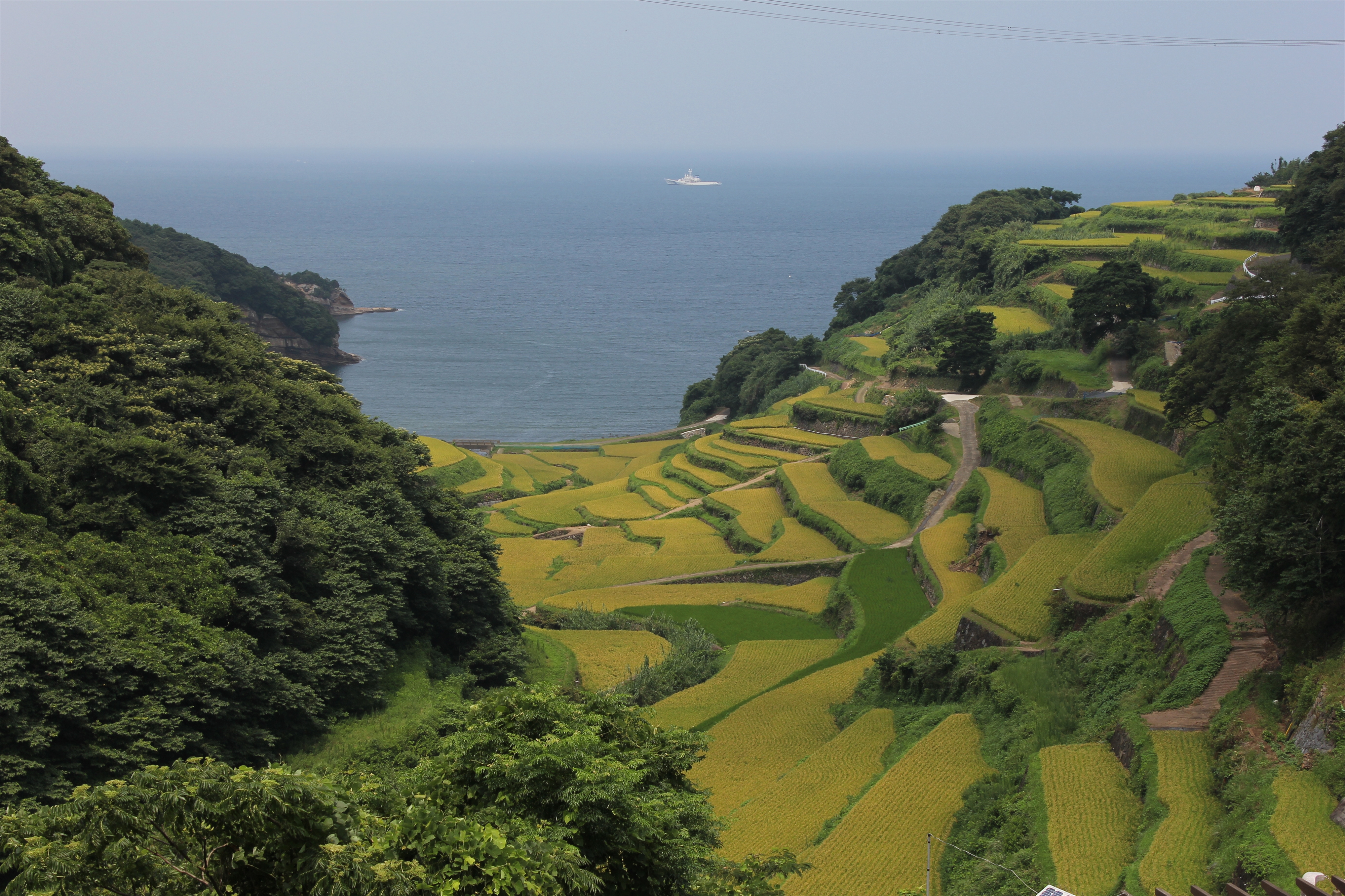 画像:浜野浦の棚田の写真