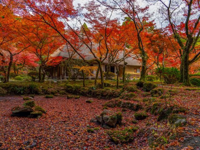 写真：九年庵