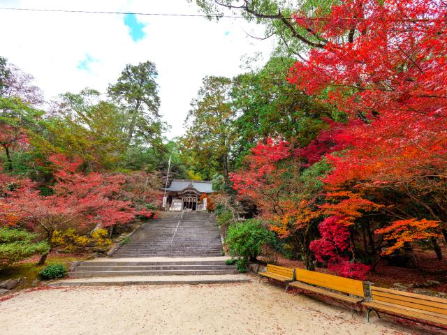 写真：仁比山神社