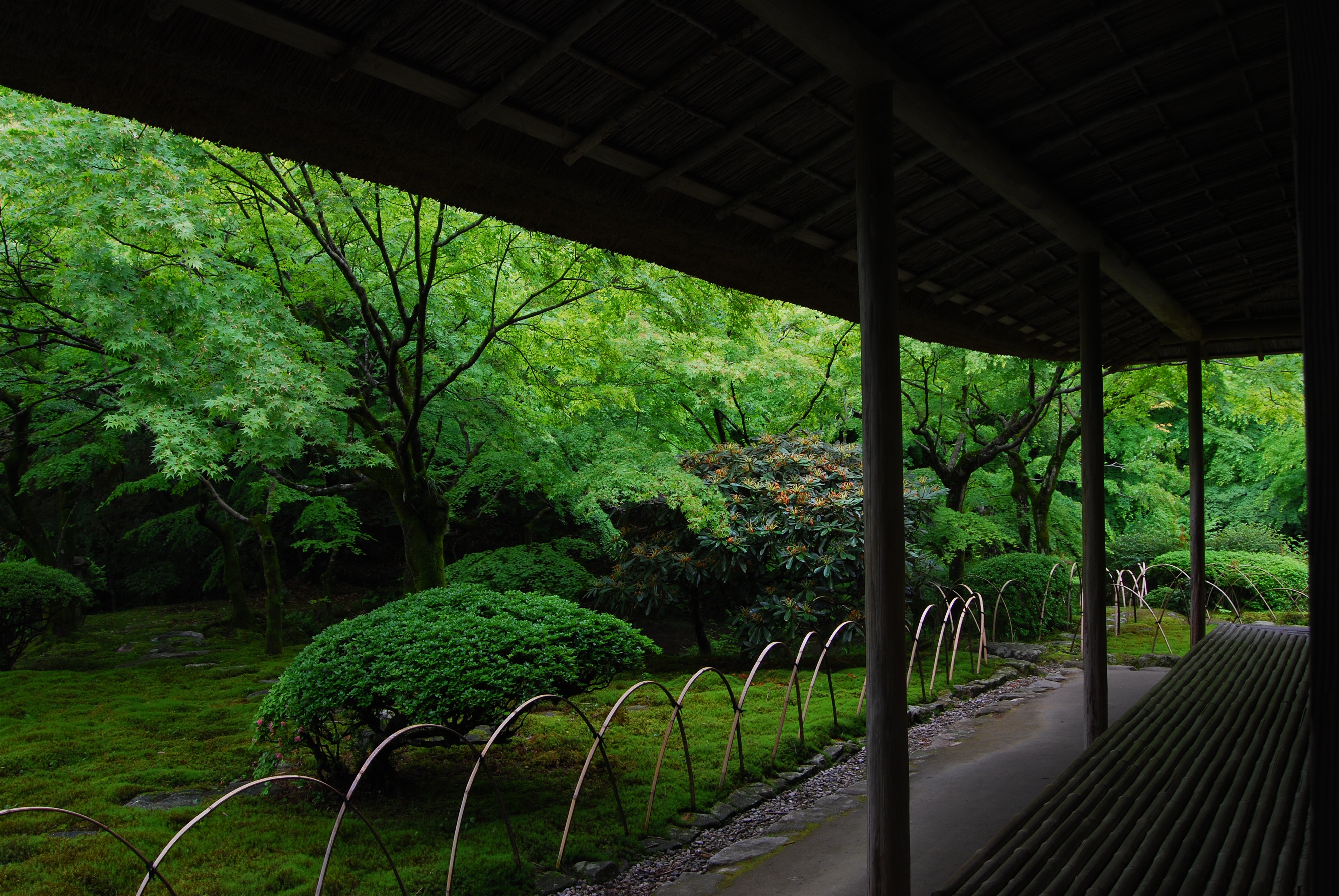 画像:春の九年庵の写真