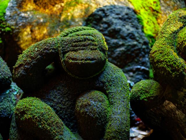 写真：仁比山神社