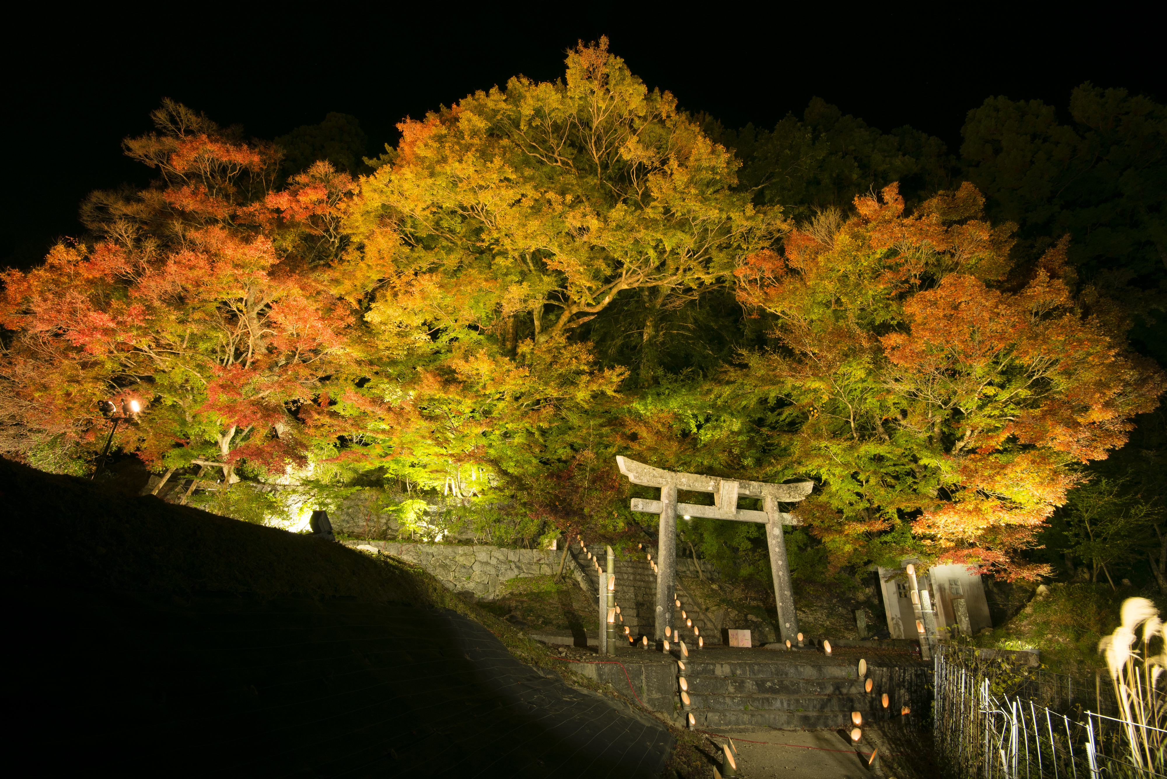 画像:河内大山祇神社の写真