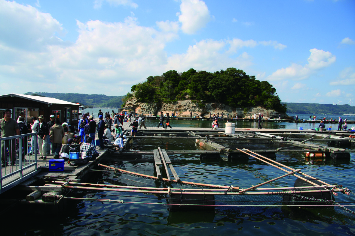 画像:仮屋湾遊漁センターの写真