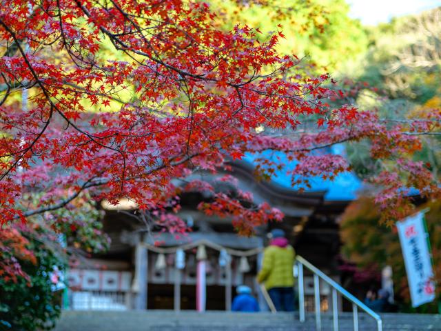 写真：仁比山神社