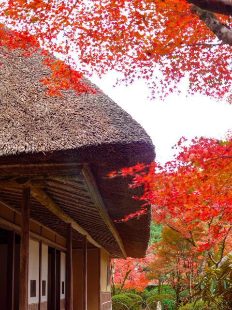 写真：九年庵