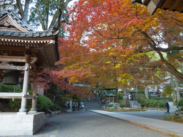 写真：大興善寺