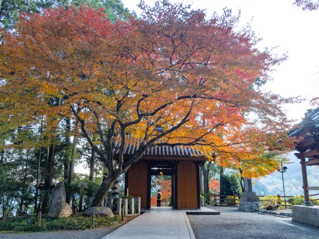 写真：大興善寺