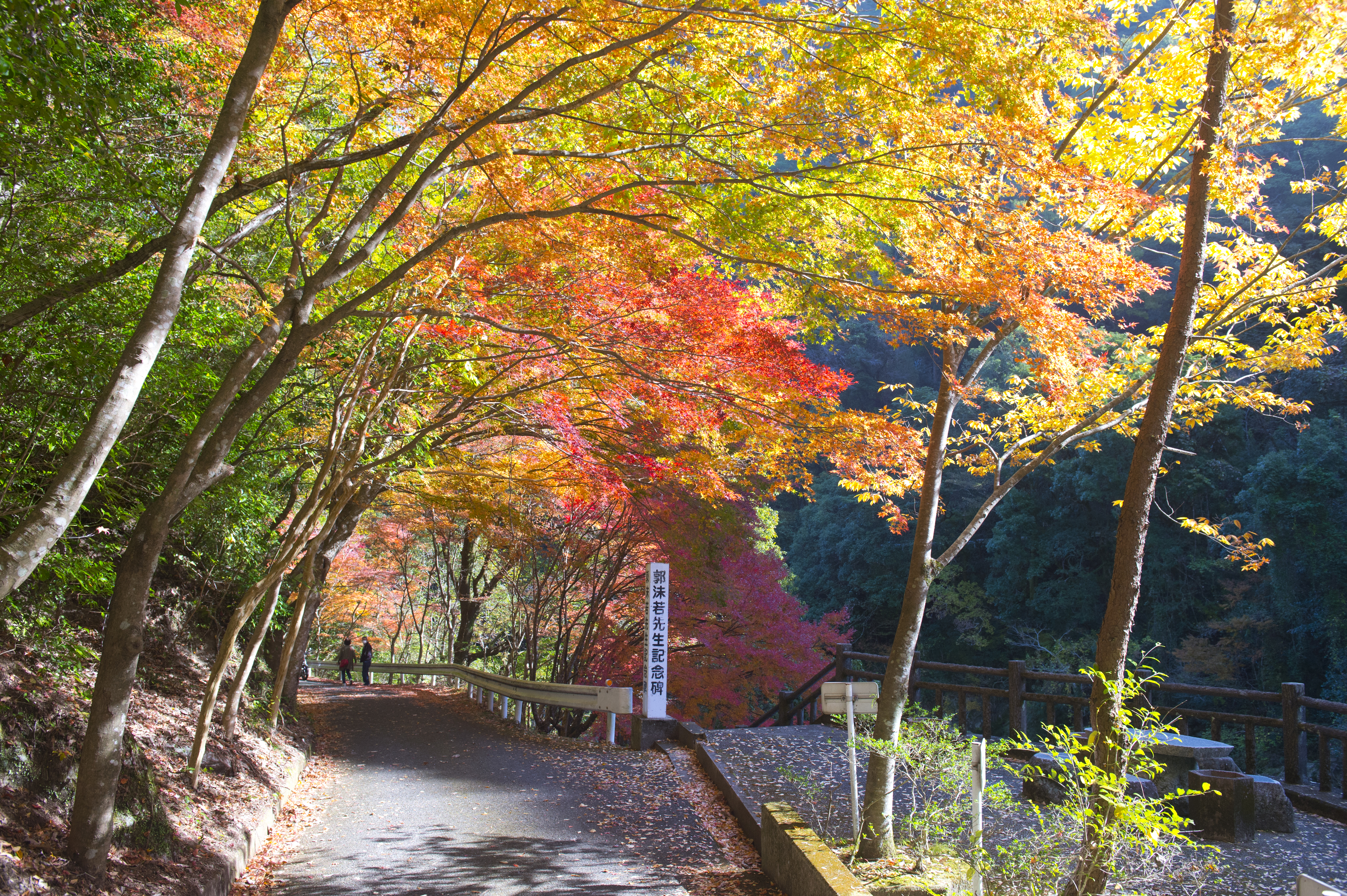 画像:雄淵・雌淵の写真