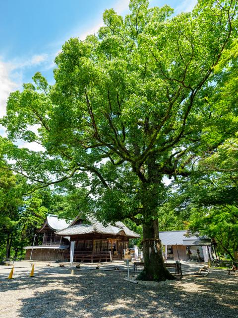 写真：福母八幡宮