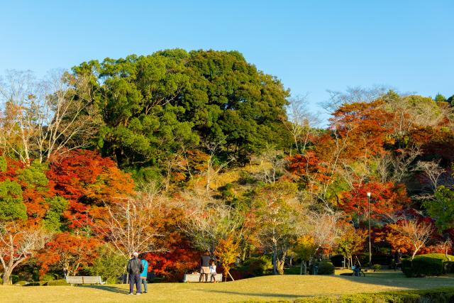 画像:西渓公園の写真