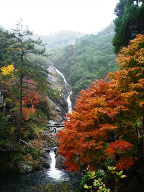 画像:見帰りの滝と紅葉の写真