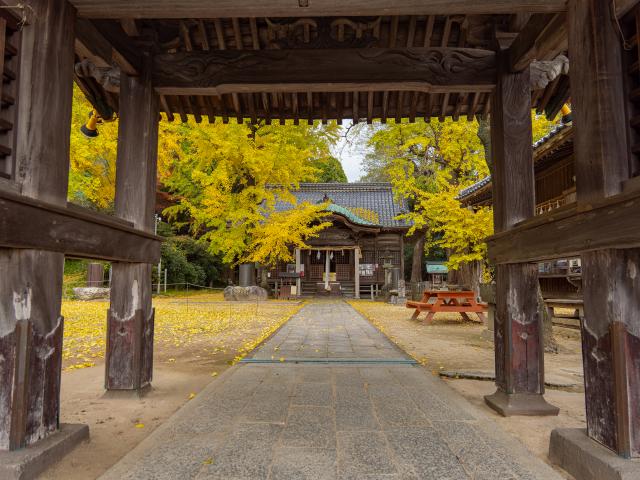 写真：綾部八幡神社