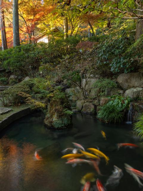 写真：大興善寺