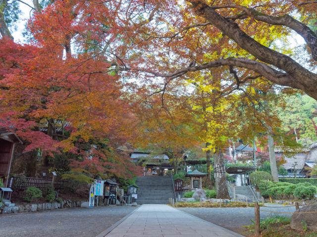 写真：大興善寺