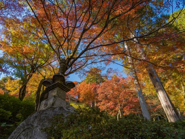 写真：大興善寺