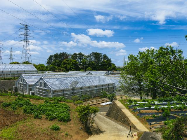 写真：玄海町薬用植物栽培研究所