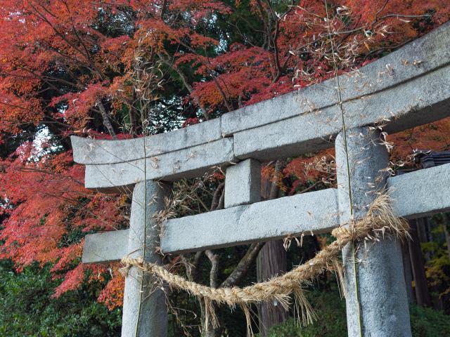 写真：大興善寺