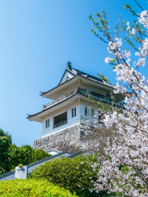 写真：竹崎城址展望台公園