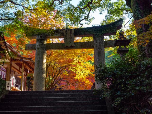 写真：仁比山神社