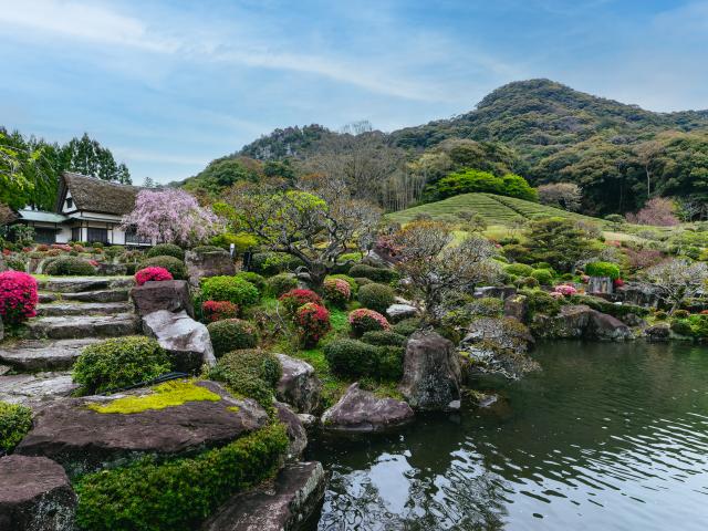 写真：慧洲園（桜）