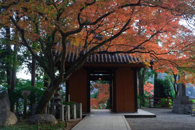 写真：大興善寺