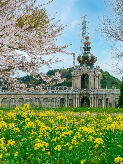 写真：有田ポーセリンパーク（桜）