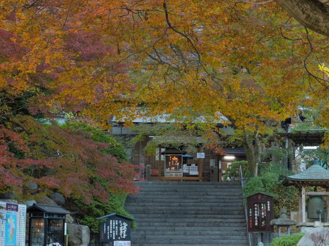 写真：大興善寺