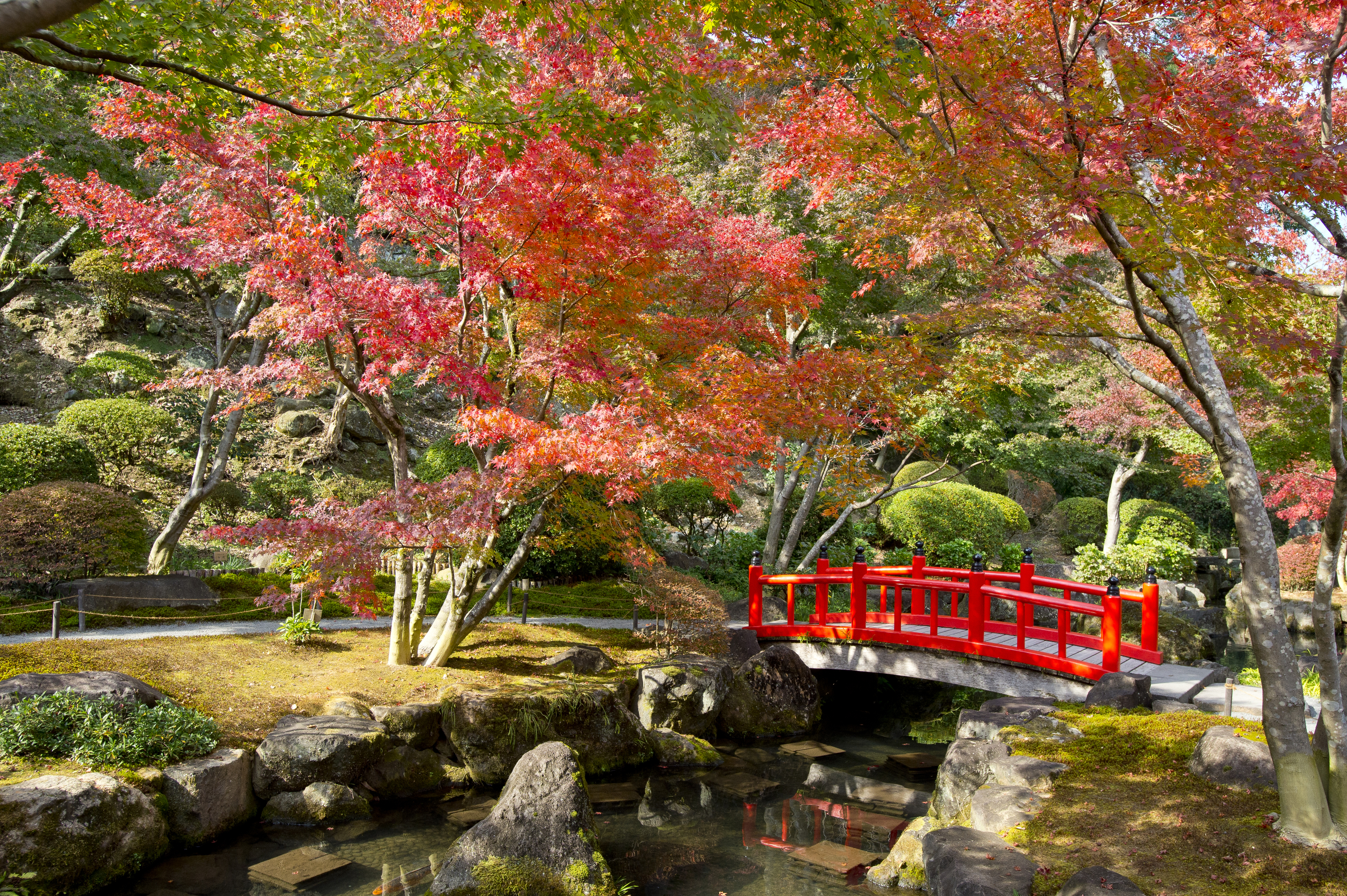 画像:祐徳稲荷神社の写真