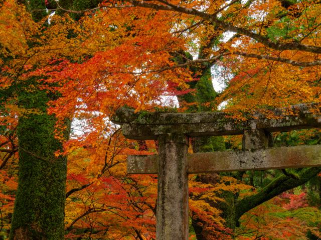 写真：仁比山神社