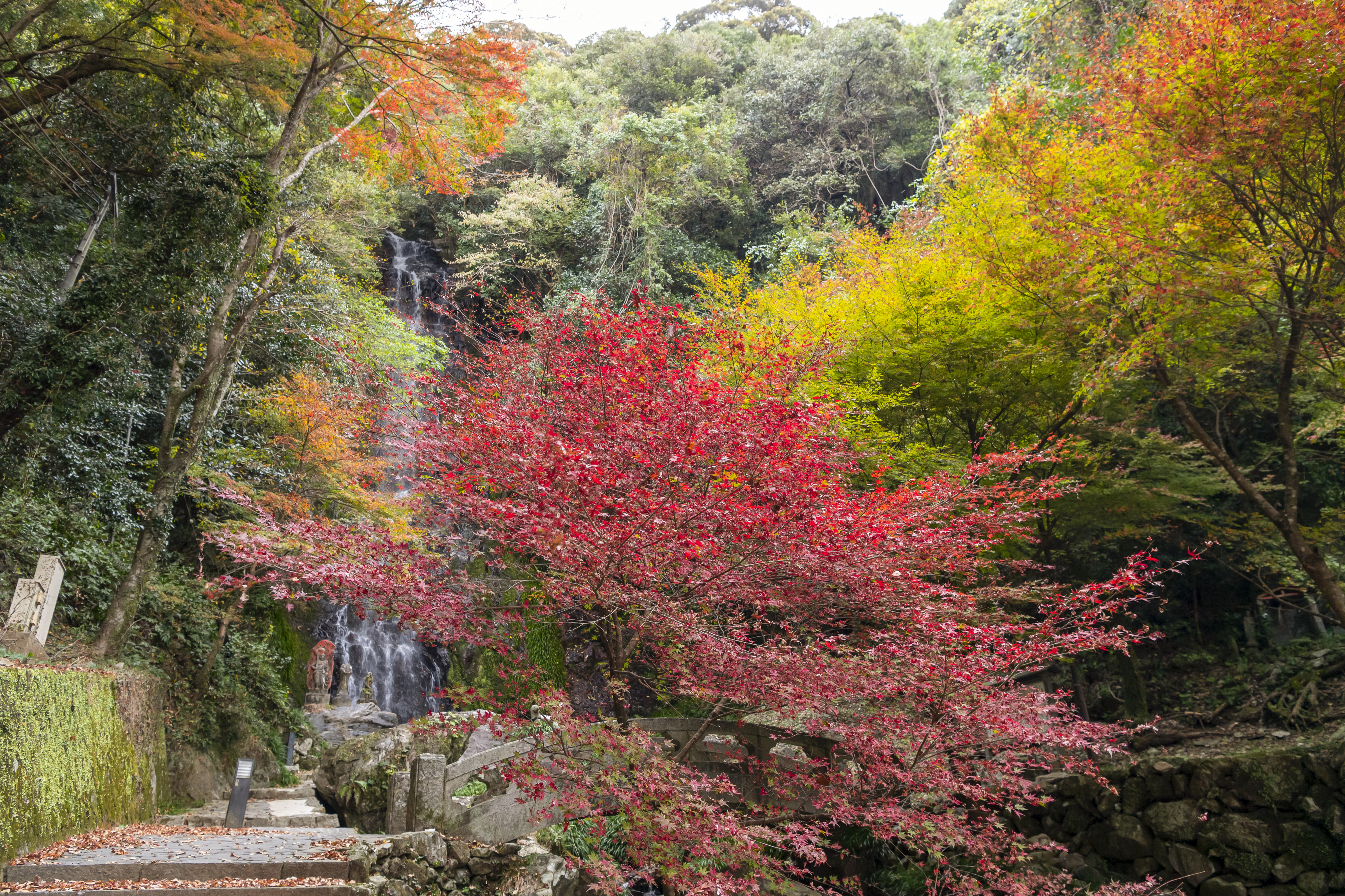 画像:清水の滝の写真