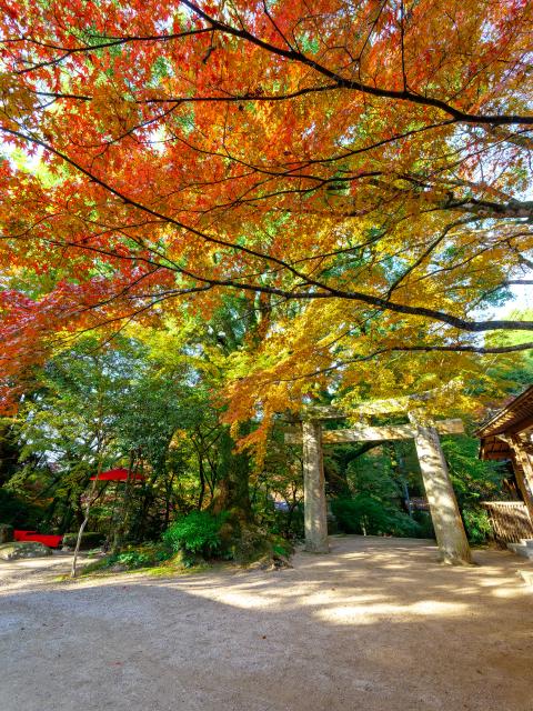 写真：仁比山神社