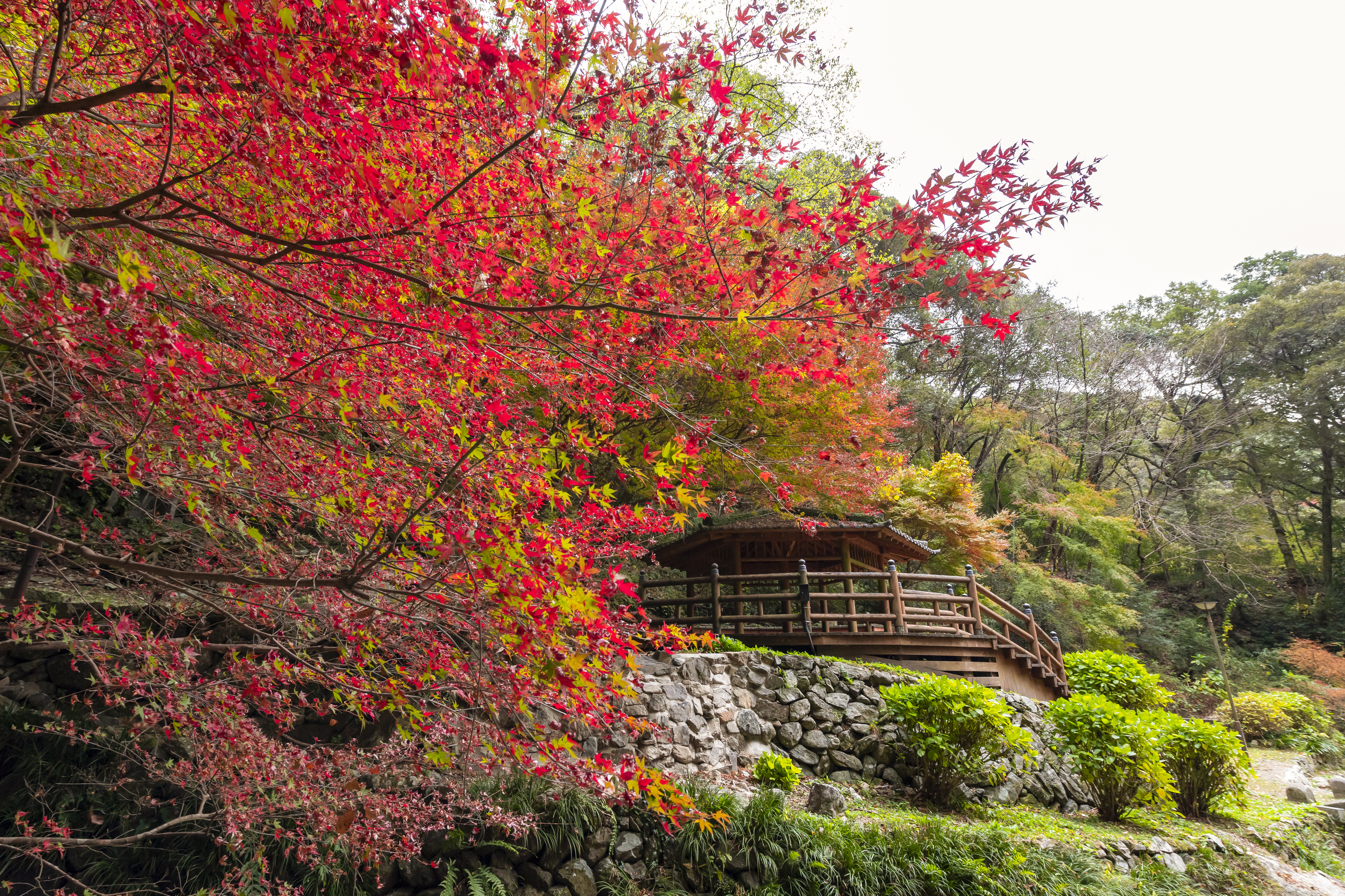 画像:清水の滝の写真