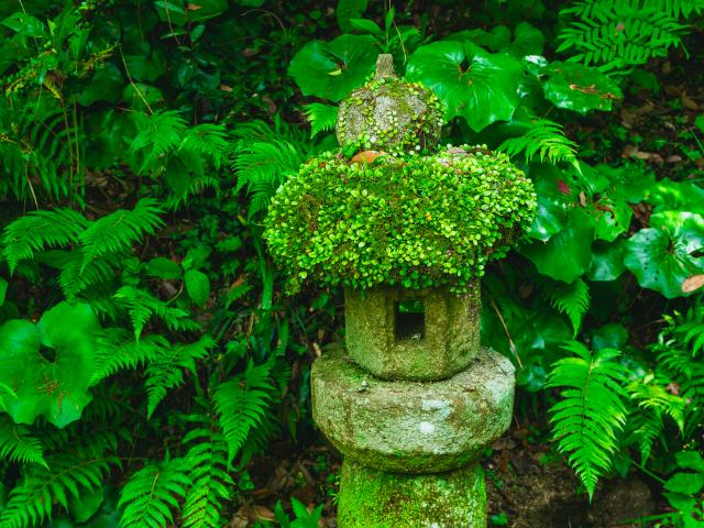 写真：九年庵