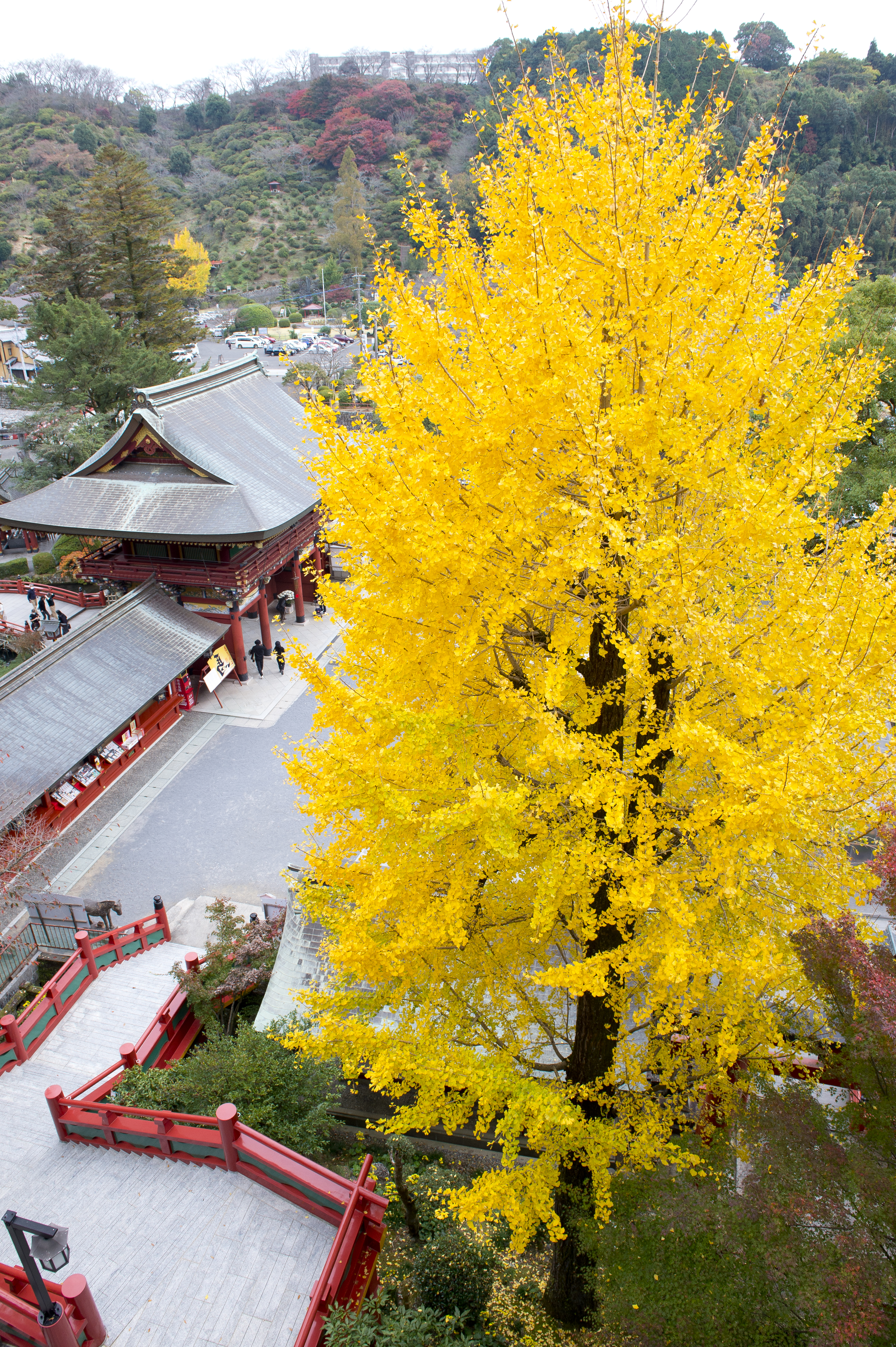 画像:祐徳稲荷神社の写真