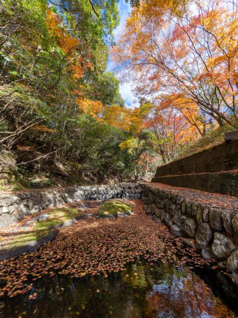 写真：竜門峡