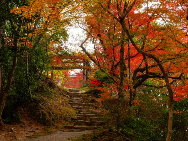 写真：仁比山神社