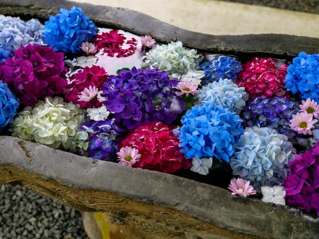 写真：福母八幡宮